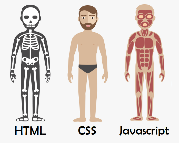 html_css_js